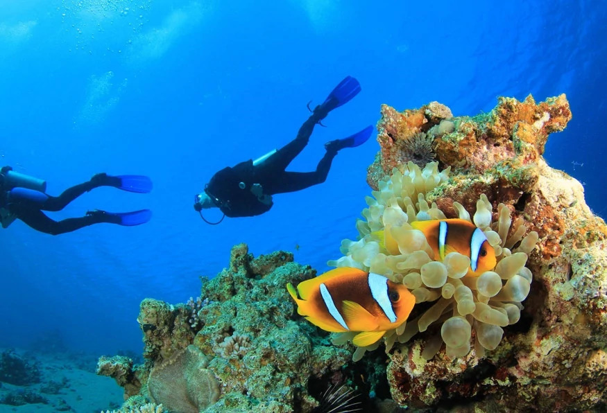 Alanya Scuba Diving Tour photo 2