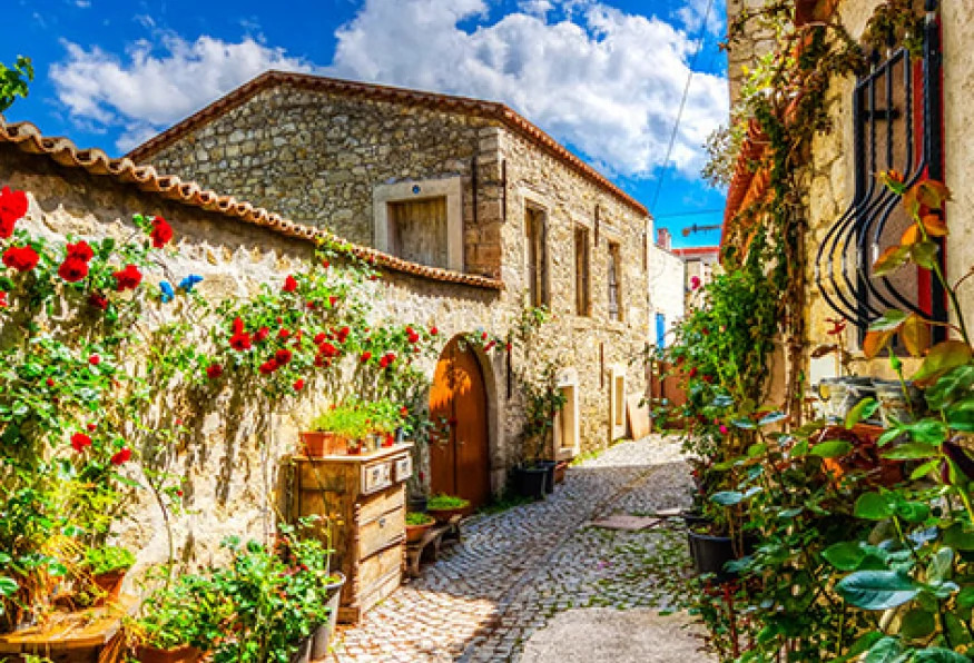 6 Days Cesme City & Cooking Tour photo 2