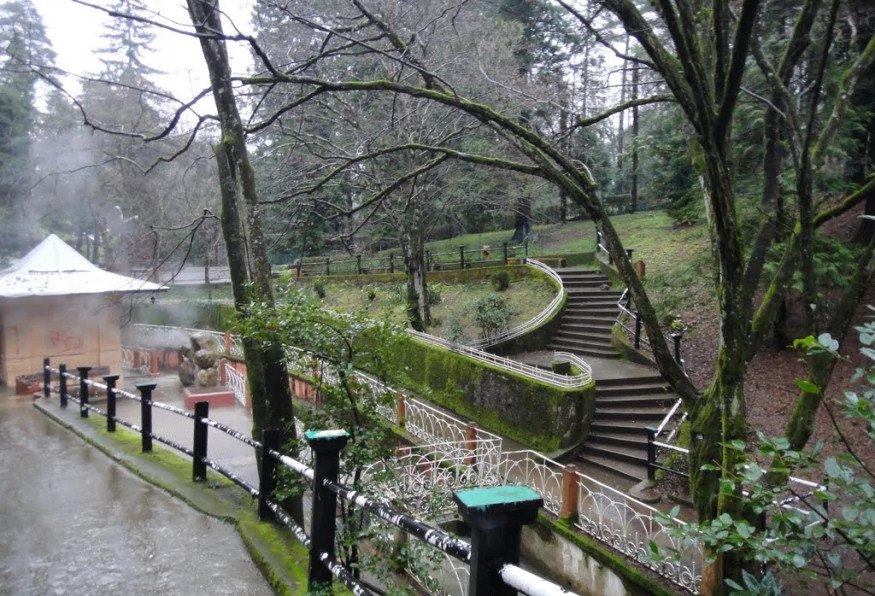 Daily Yalova Thermal Tour from Istanbul – Hot Springs & Nature Escape photo 6