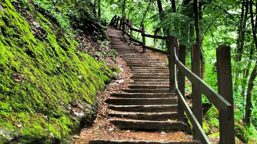 Daily Yalova Thermal Tour from Istanbul – Hot Springs & Nature Escape photo 7