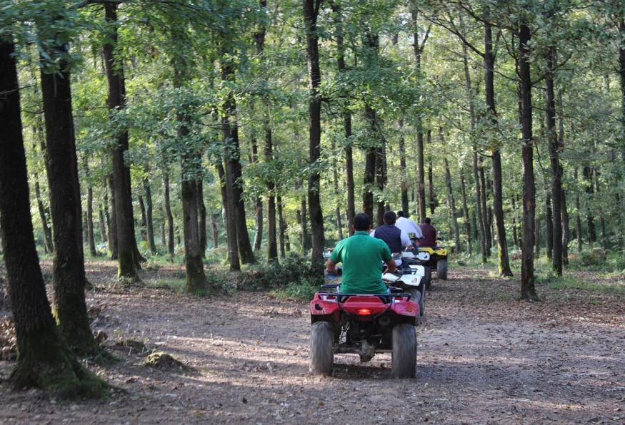 Cesme Half Day Atv & Buggy Safari Tour photo 5