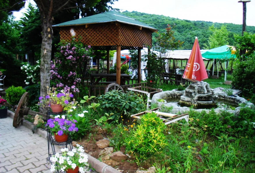 Cesme Half Day Atv & Buggy Safari Tour photo 10