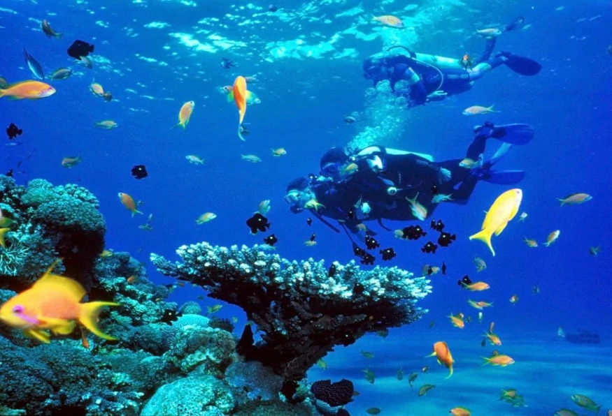 Antalya Aquarium Tour – Skip the Line & Explore the World’s Longest Tunnel Aquarium photo 2