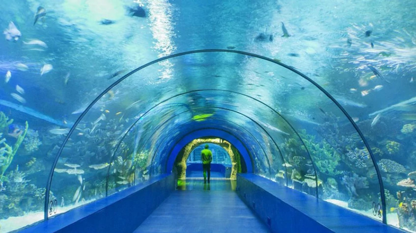 Antalya Aquarium Tour – Skip the Line & Explore the World’s Longest Tunnel Aquarium photo 4