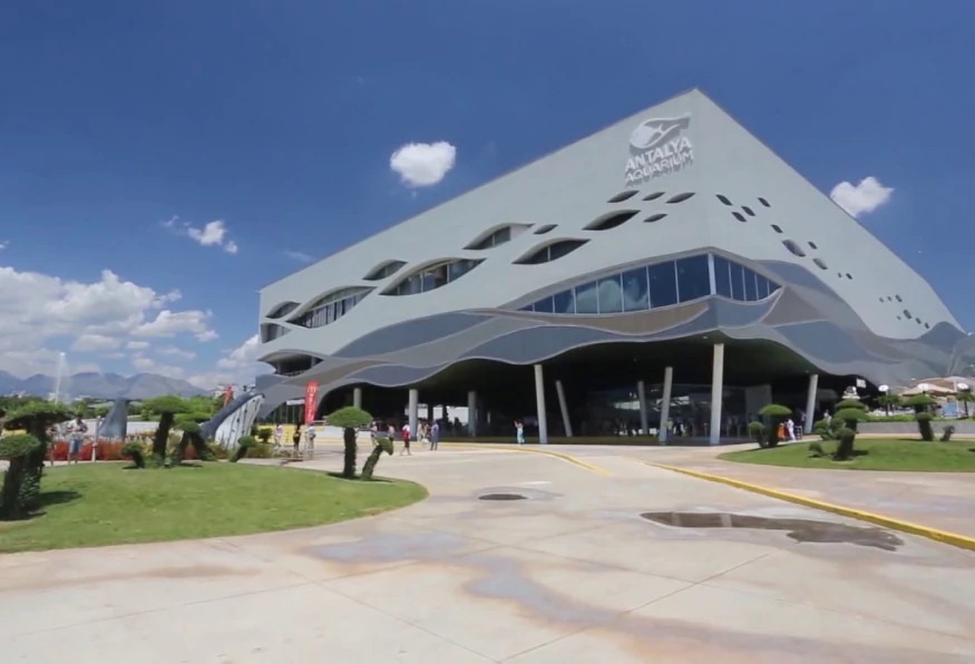 Antalya Aquarium Tour – Skip the Line & Explore the World’s Longest Tunnel Aquarium photo 5