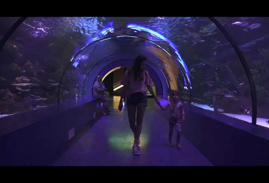 Antalya Aquarium Tour – Skip the Line & Explore the World’s Longest Tunnel Aquarium photo 7