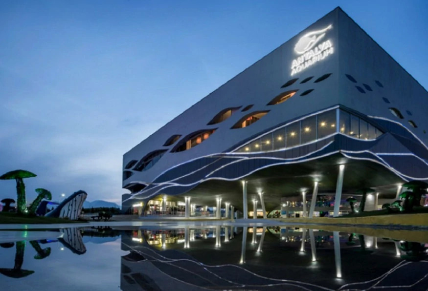 Antalya Aquarium Tour – Skip the Line & Explore the World’s Longest Tunnel Aquarium photo 8