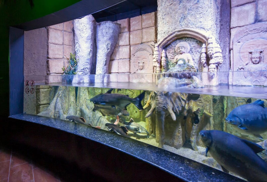 Antalya Aquarium Tour – Skip the Line & Explore the World’s Longest Tunnel Aquarium photo 9