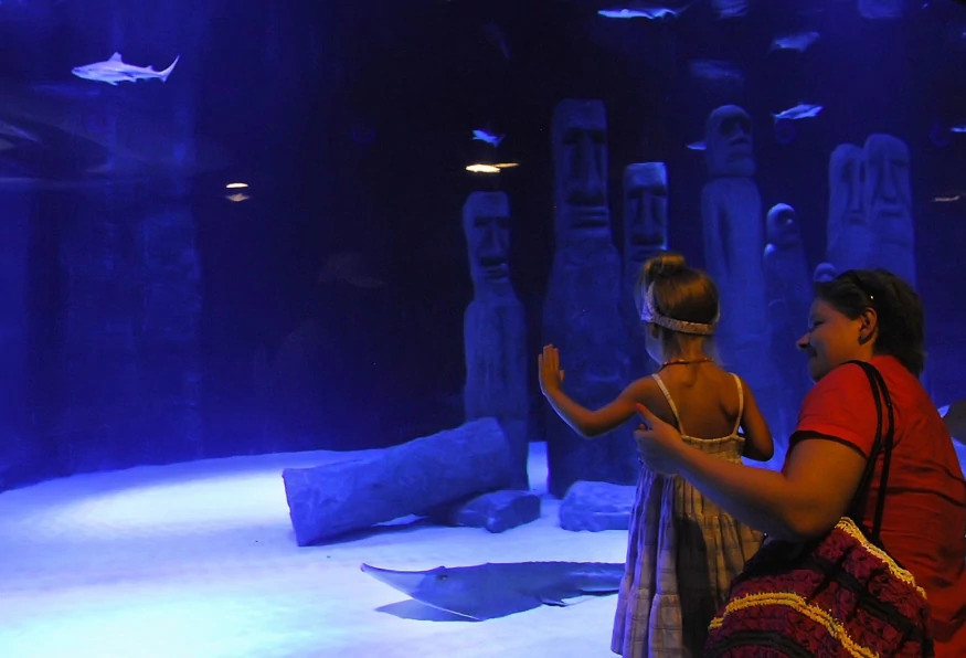 Antalya Aquarium Tour – Skip the Line & Explore the World’s Longest Tunnel Aquarium photo 10