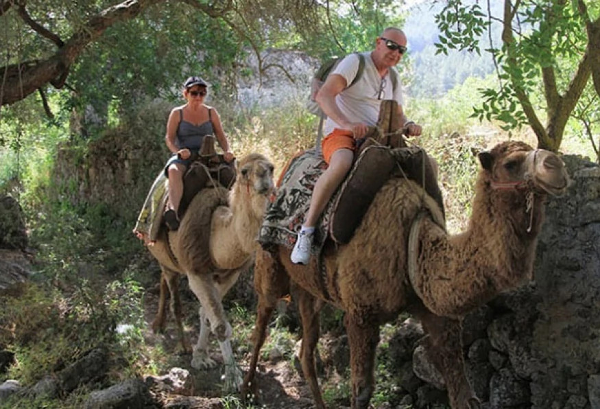 Daily Camel Riding Tour photo 6