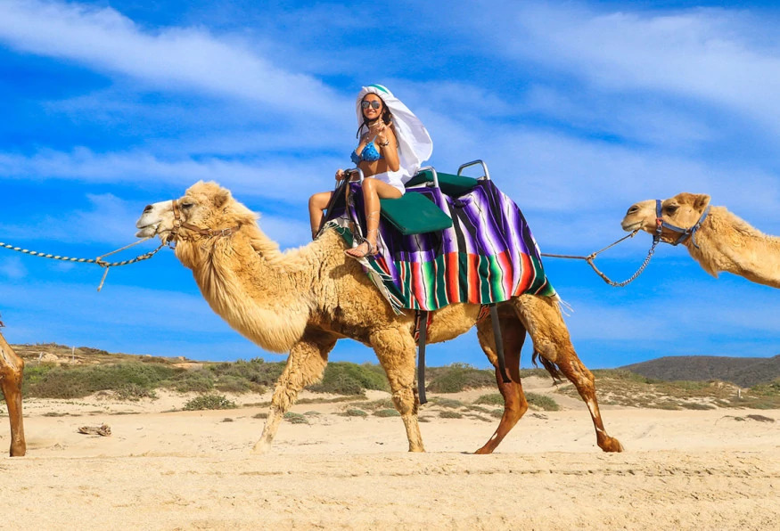 Daily Camel Riding Tour photo 7