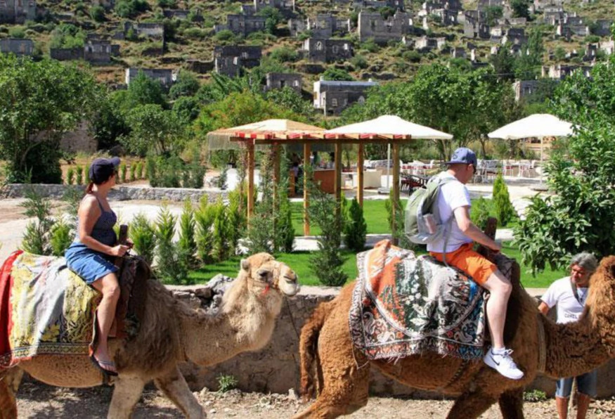 Daily Camel Riding Tour photo 9