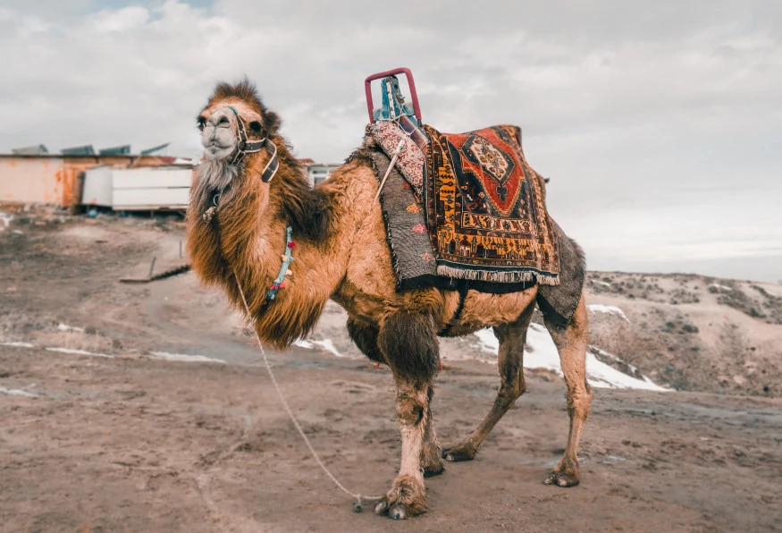 8 Days Suv Safari Cappadocia – Konya – Antalya Tour photo 12