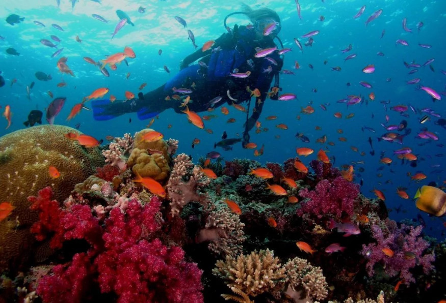 Daily Cesme Scuba Diving Tour photo 1