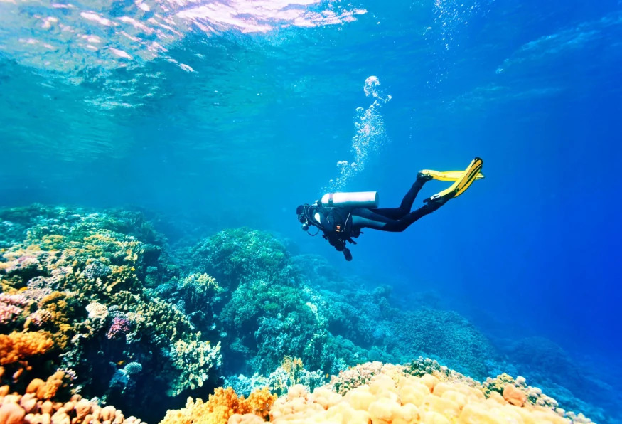 Antalya Scuba Diving Tour photo 7