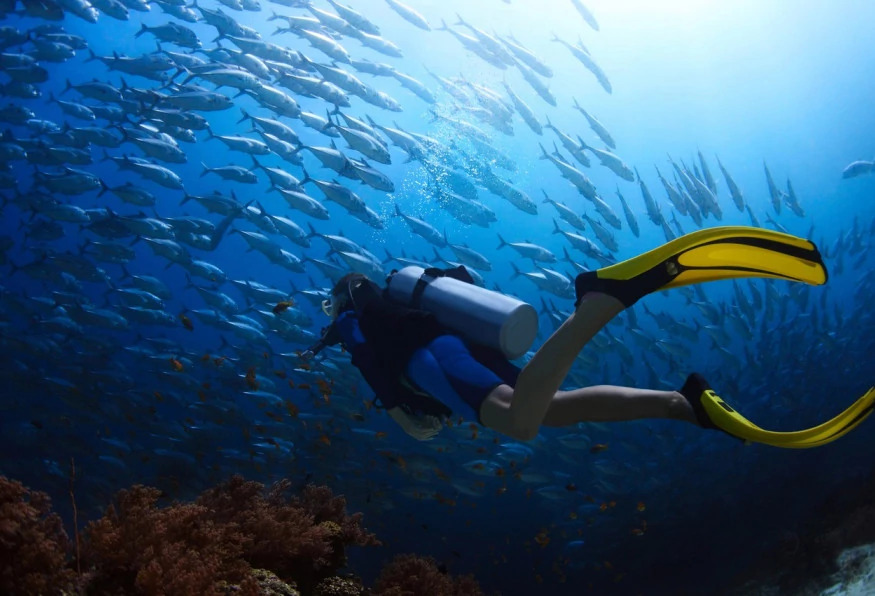 Daily Alanya Diving in the Mediterranean Sea Tour photo 4