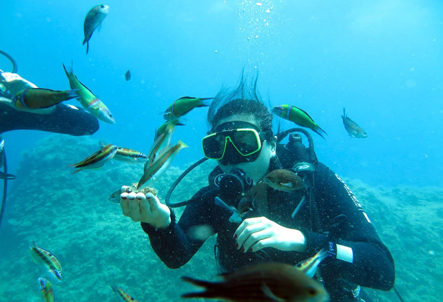 Daily Alanya Diving in the Mediterranean Sea Tour photo 5