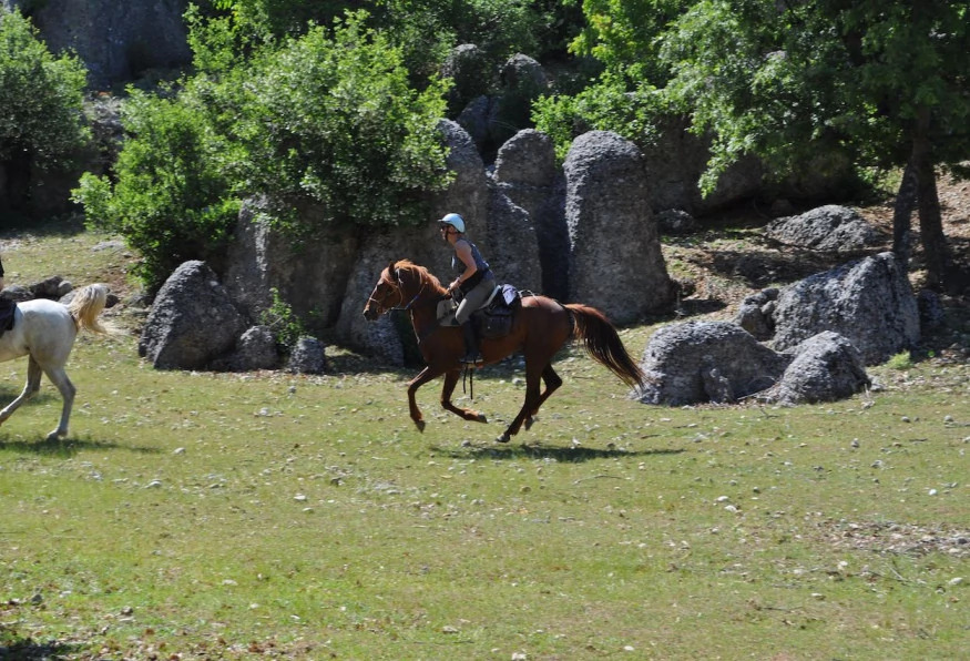 Horse Riding At the Golden Sandy Beach of Antalya photo 1