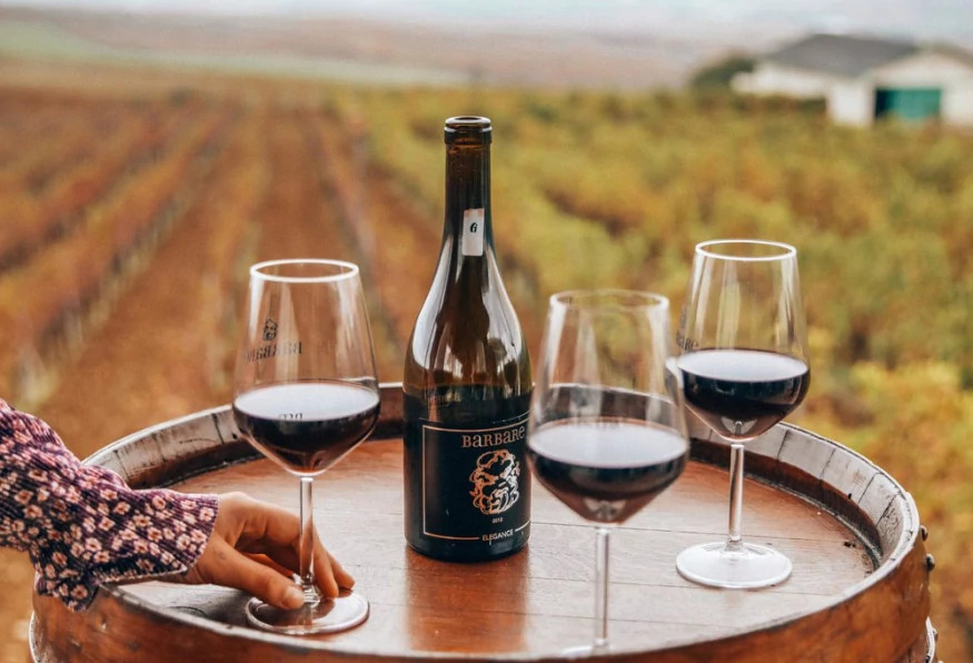 Daily Edirne Tekirdag Wine Tasting Tour photo 1