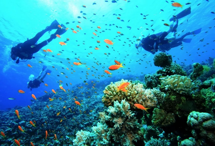 Daily Scuba Diving Tour from Belek photo 6