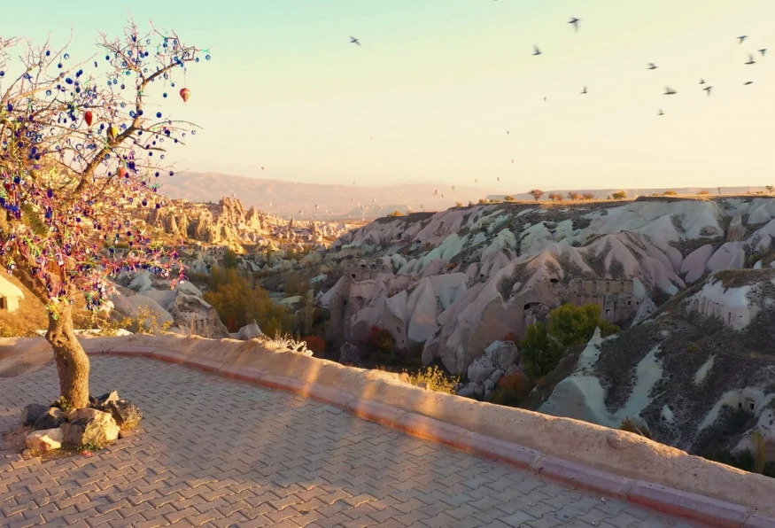 Daily Photo Safari Cappadocia Tour from Kayseri photo 12