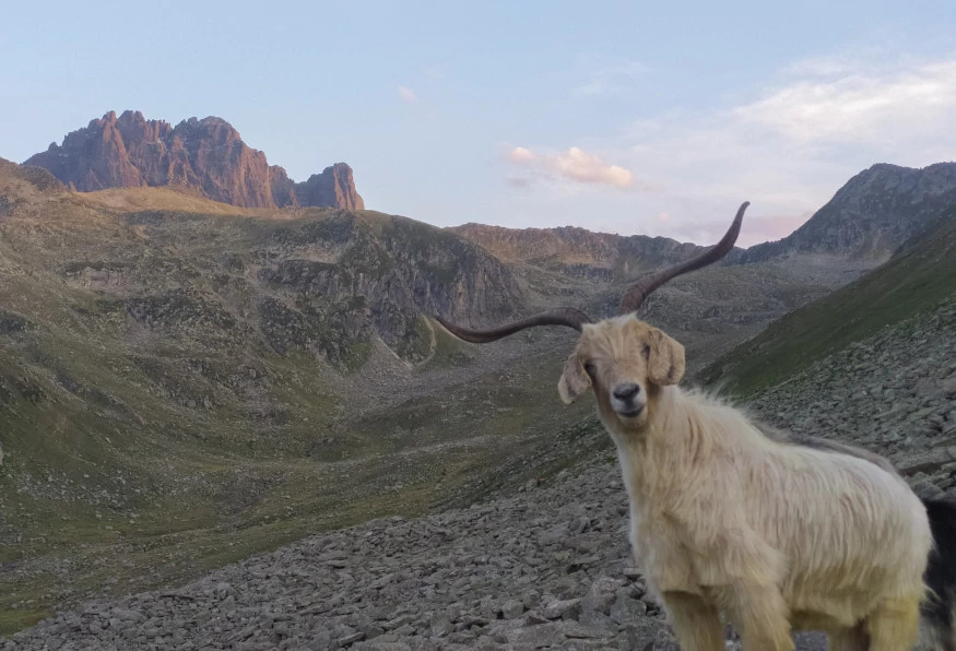 Daily Ayder Tour from Erzurum photo 18
