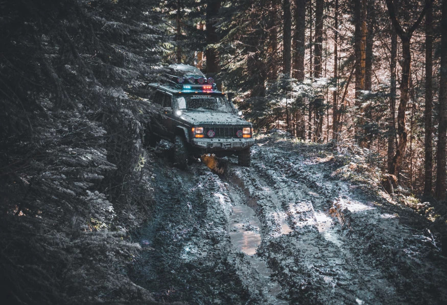 Daily Yenice Forest Nature Tour photo 4