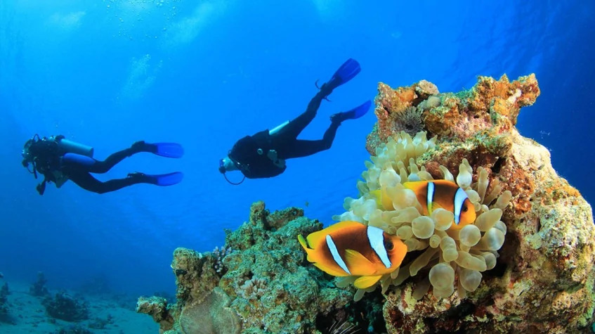 Kas Scuba Diving Tour photo 1
