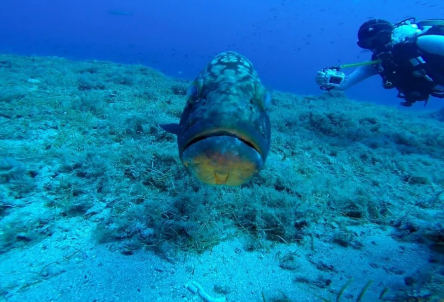Kas Scuba Diving Tour photo 4