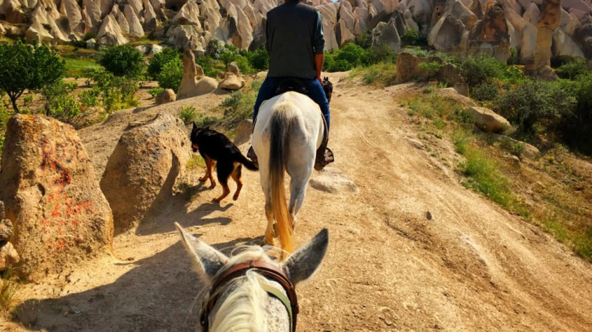 Cappadocia Horseback Riding Tour: Explore Fairy Chimneys & Valleys with Anatolian Horses photo 5