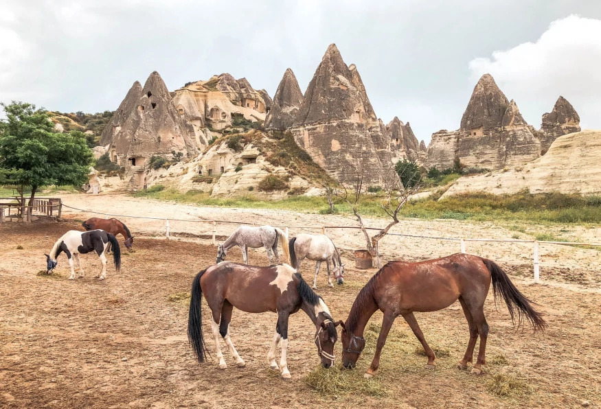 Cappadocia Horseback Riding Tour: Explore Fairy Chimneys & Valleys with Anatolian Horses photo 9