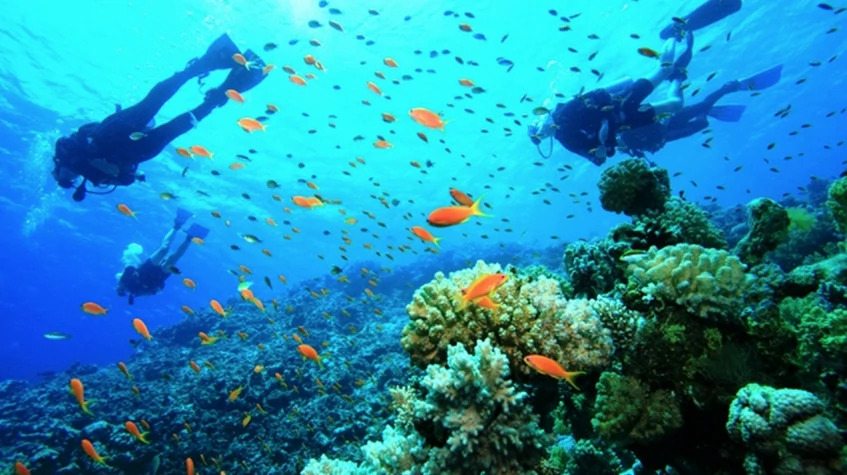 Daily Diving from Kemer Tour photo 1