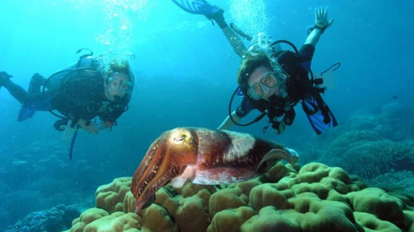 Daily Diving from Kemer Tour photo 2