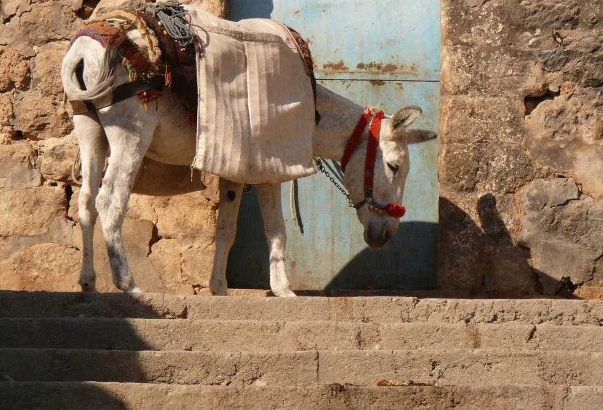 6 Days Mardin City & Harran Tour photo 3