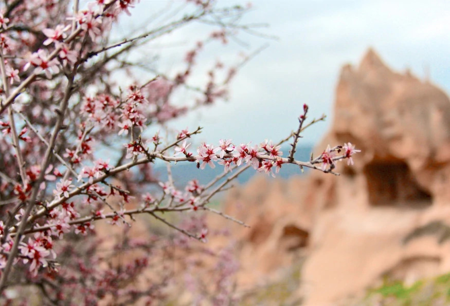 3 Days Nevsehir/Cappadocia City Tour photo 15