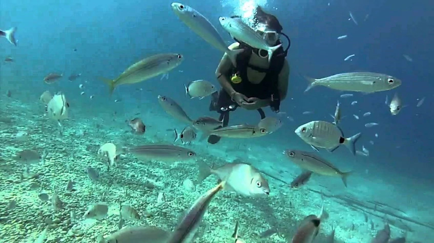 Daily Scuba Diving Tour from Kemer photo 1