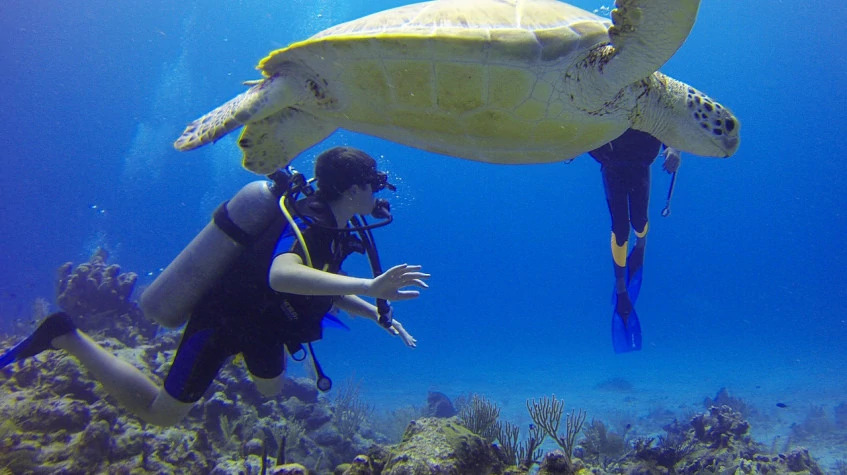 Daily Scuba Diving Tour from Kemer photo 3