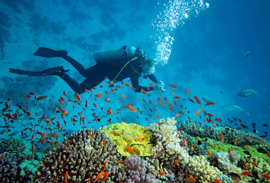 Daily Scuba Diving Tour from Kemer photo 4