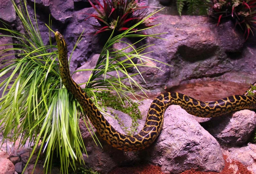 Daily Jungle Park Tour Istanbul – Family Adventure & Wildlife Experience photo 3