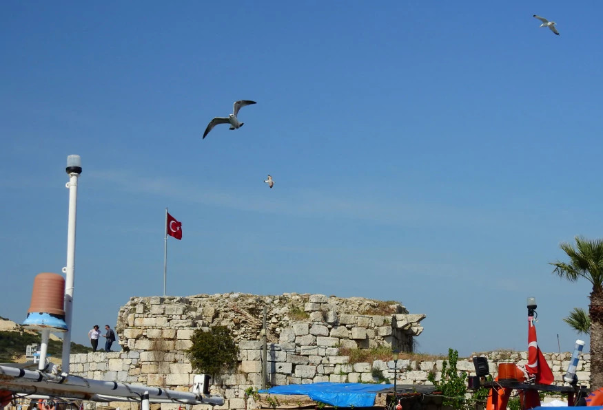 Daily Teos Ancient City & Sigacik Tour from Aydin photo 5