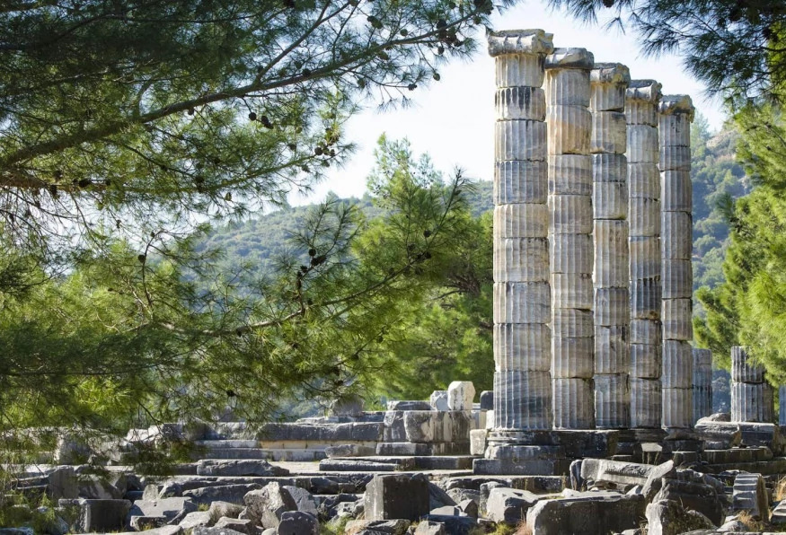 Daily Priene – Miletus - Dydima Tour from Aydin photo 5