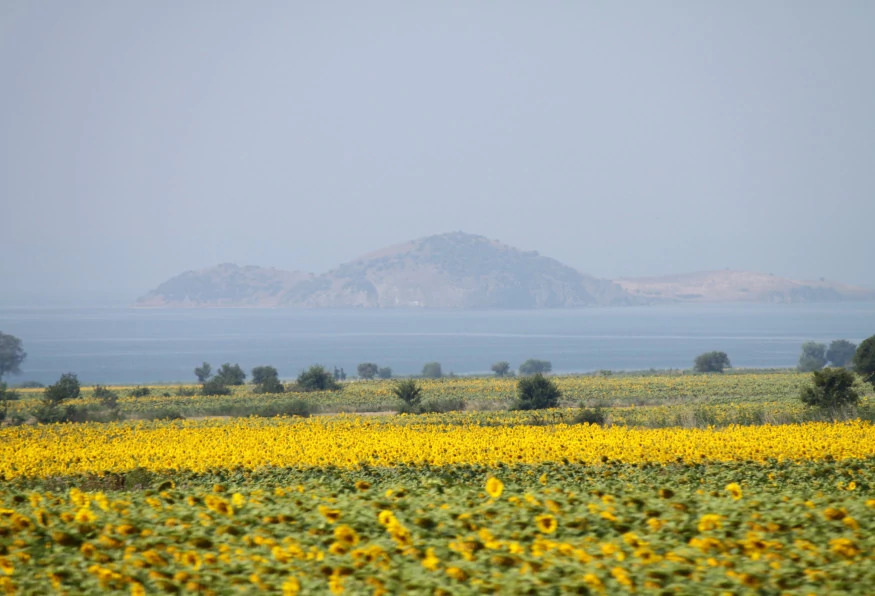 Daily Canakkale City Tour photo 19