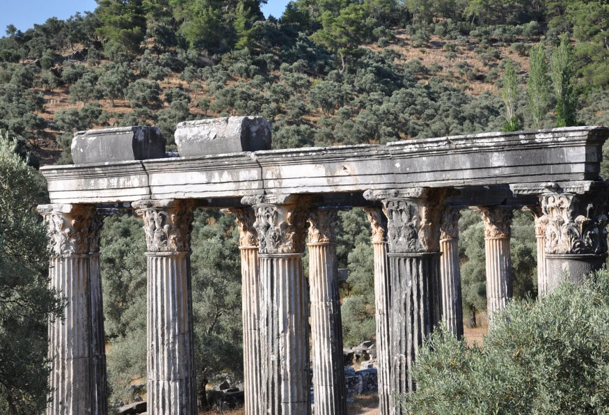 Daily Iasos and Euromos Tour from Aydin photo 13