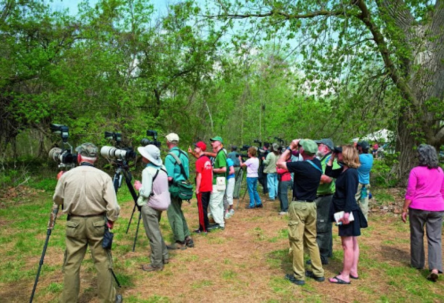 Daily Mersin Bird Watching Tour photo 3