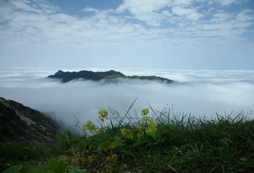 Daily Rize Ayder Tour photo 2