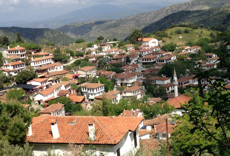Daily Ephesus & Sirince Village Tour from Ayvalik photo 10