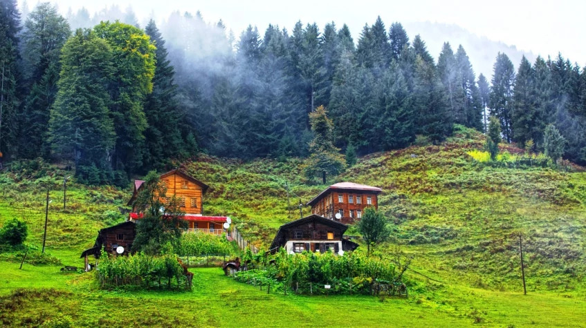 Daily Rize Huser Plateau Tour photo 4