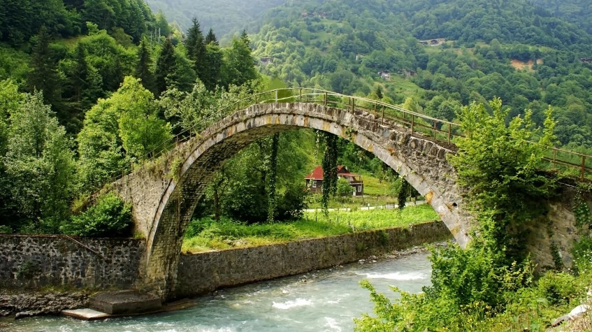 Daily Rize Cultural Tour photo 5