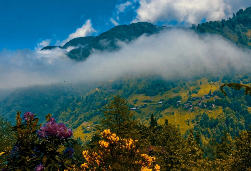Daily Rize Cultural Tour photo 6