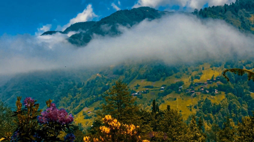 Daily Rize City Tour photo 3